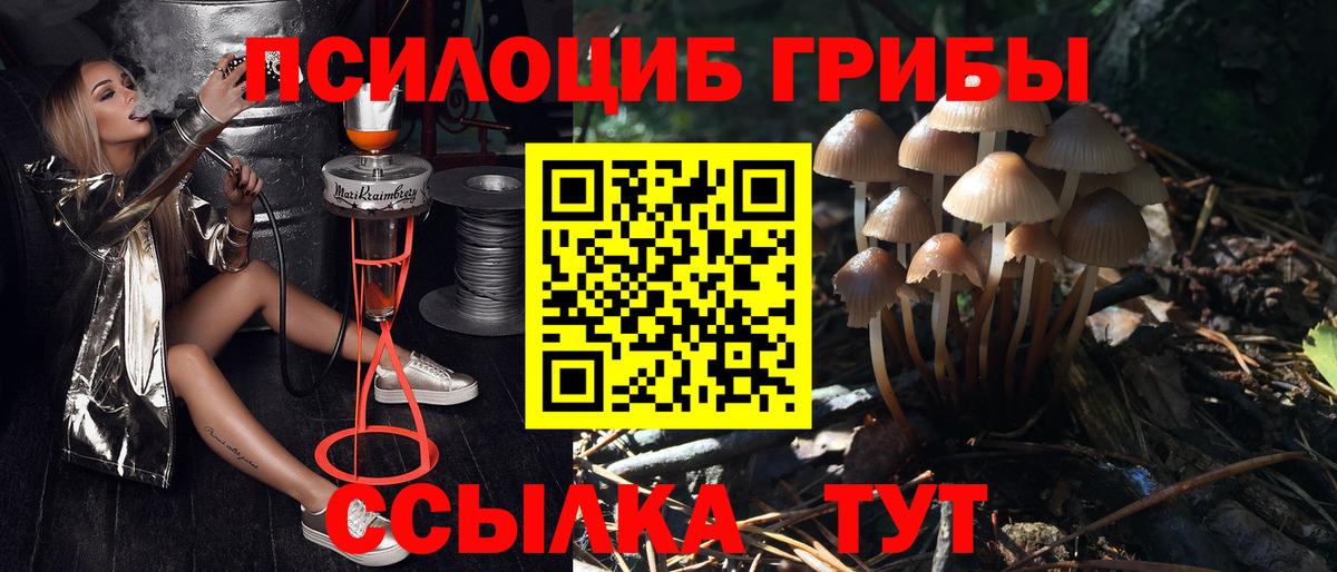 Ангарск  Псилоцибиновые грибы Psilocybe  как найти закладки  Вход с VPN 
